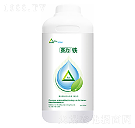 ِ���F-�����Ƽ�