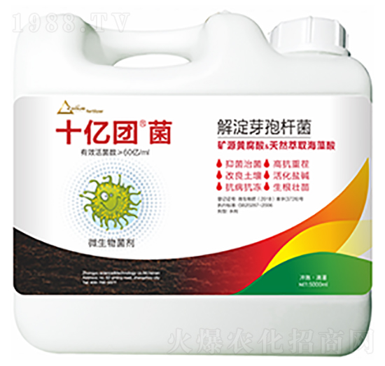 ���ѿ�ߗU��-ʮ�|�F(tu��n)��-��ԣ�Ƽ�