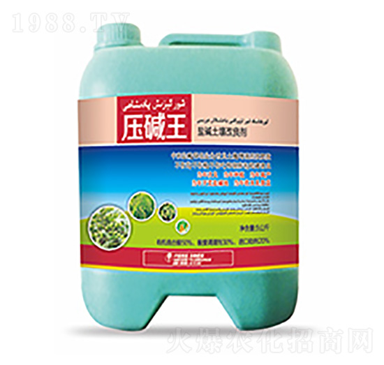 �}�A����������-���A��-�����Ƽ�