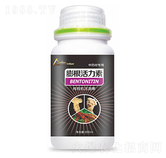 ��ˎ�Č������������-�����Ƽ�