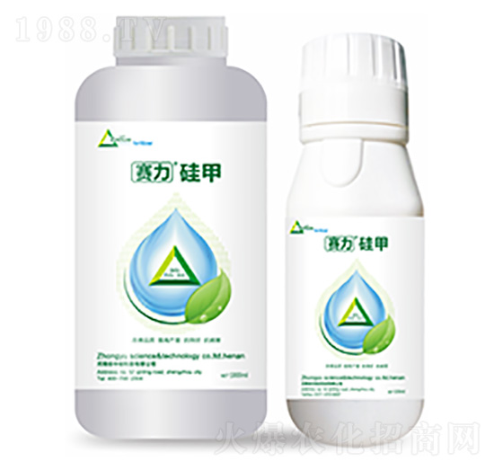 ِ�����-�����Ƽ�