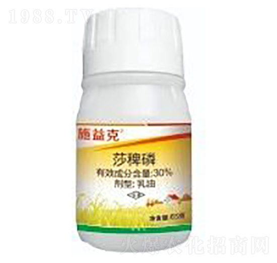 30%ɯ����-ʩ���-ϲ�S��