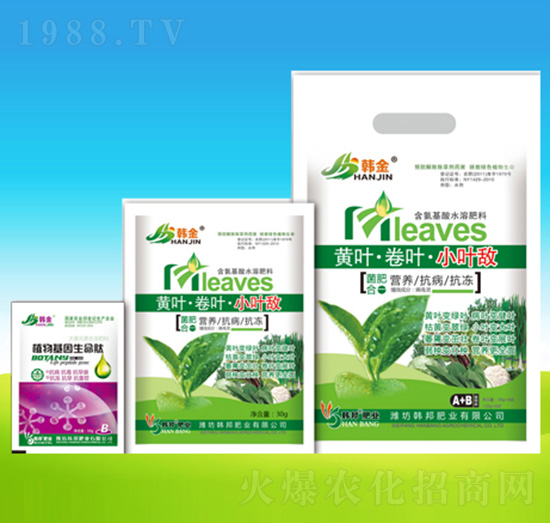 �S�~�����~��С�~��-�n��ʘI(y��)