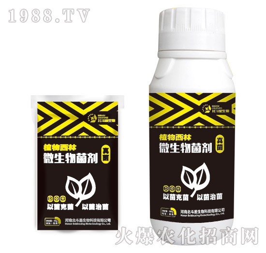 �������΢�������-ֲ������-������