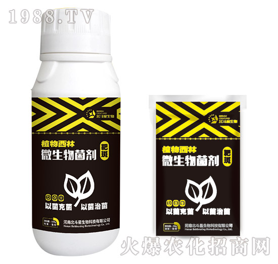 �аߌ���΢�������-ֲ������-������