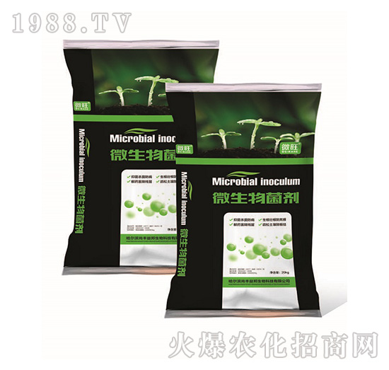 ΢�������-΢��-���S���