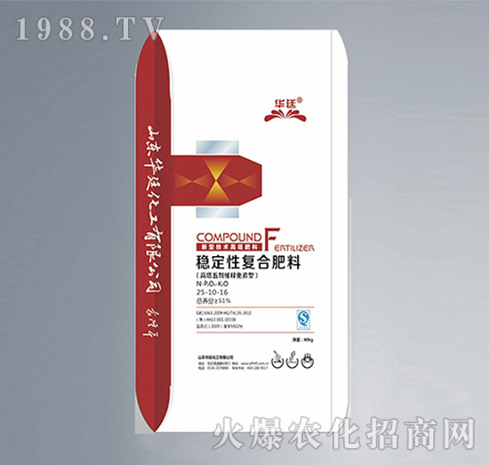 ��(w��n)���ԏͺϷ���25-10-16-�A͢����