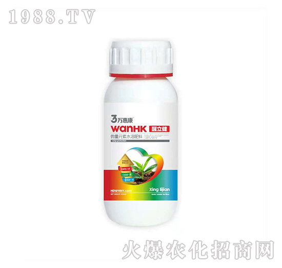 ������-�f�ݿ�