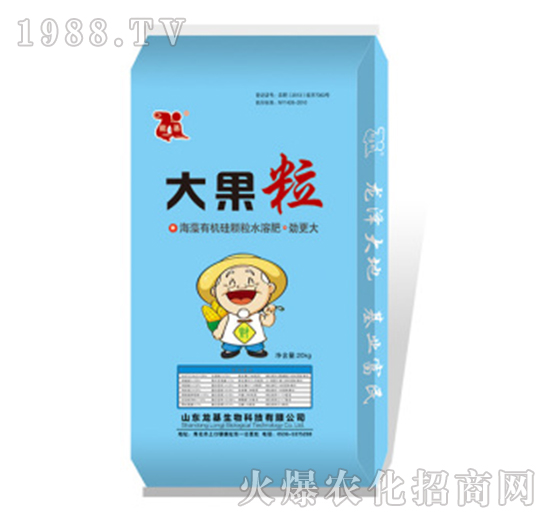 大果粒海藻有機(jī)硅顆粒水溶肥-龍基生物