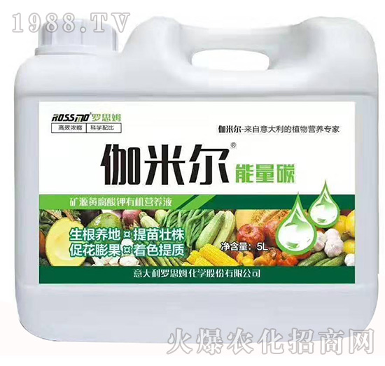 ٤�נ�������̼-ľ�̼ь�