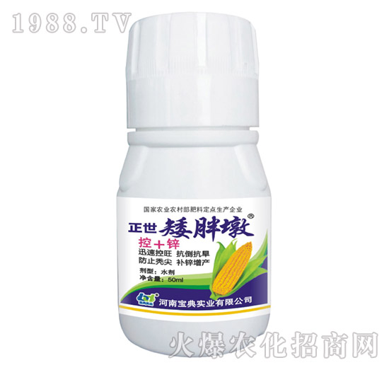 正世矮胖墩-寶典實業(yè)