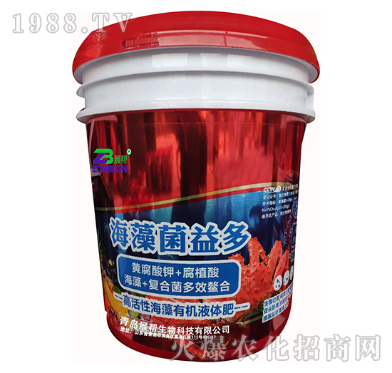 ��������-չ������