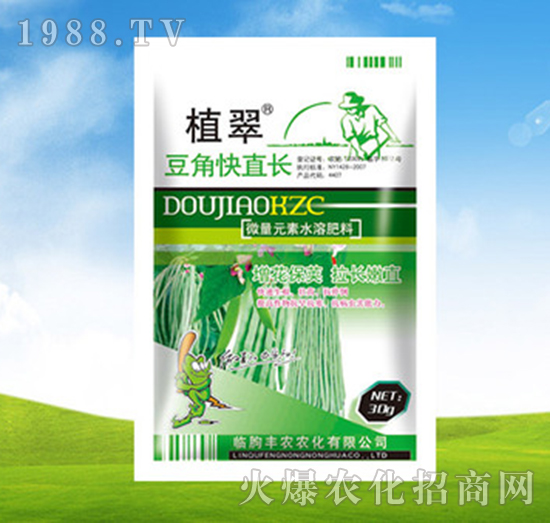 豆角快直長-植翠-豐農(nóng)農(nóng)化