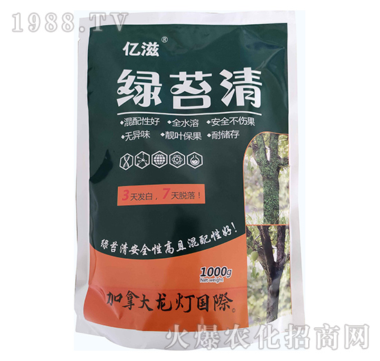 �G̦��-�|��-����