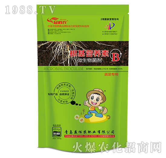 �߲ˌ���΢�������-�����I�B(y��ng)��B-����r(n��ng)