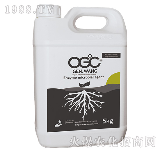 ����΢�������-OGC������-ꖹ�G��