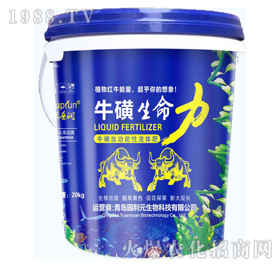 ţ��������-�@��Ԫ