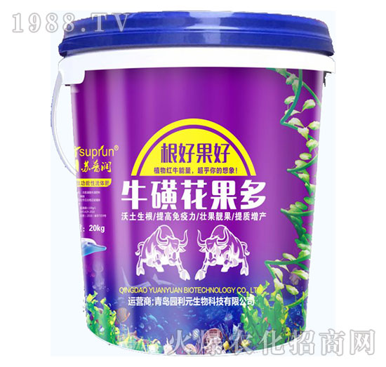 ���ǻ�����-�@��Ԫ