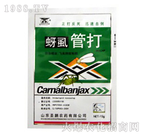 ��ʭ�ܴ�-ʥ�i