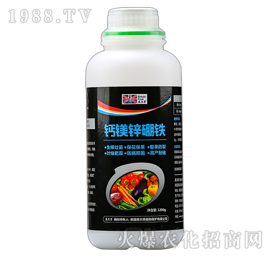 �}�V�\���F-Ӣ����