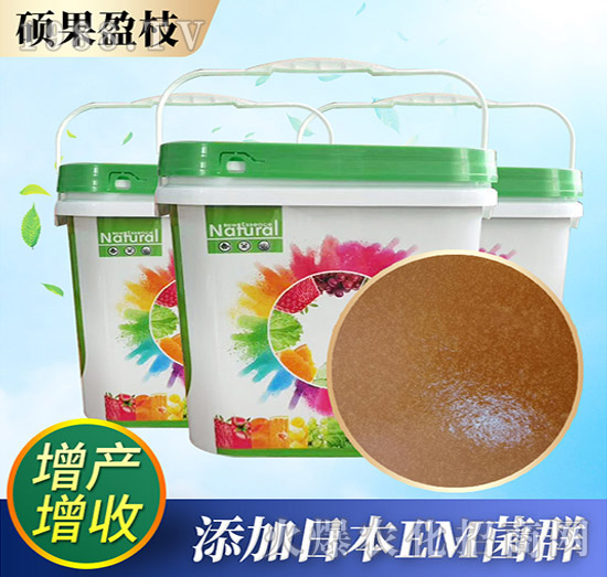 ����-�T��ӯ֦