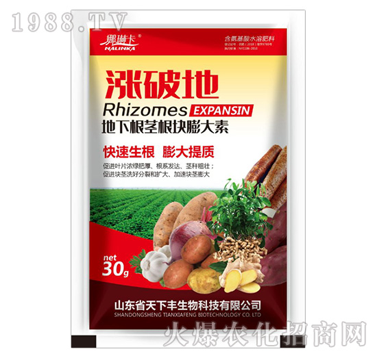 地下根莖根塊膨大素-漲破地-天下豐