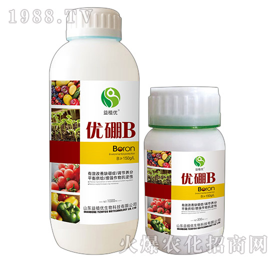 ��(y��u)��B(y��ng)-��ֲ��(y��u)