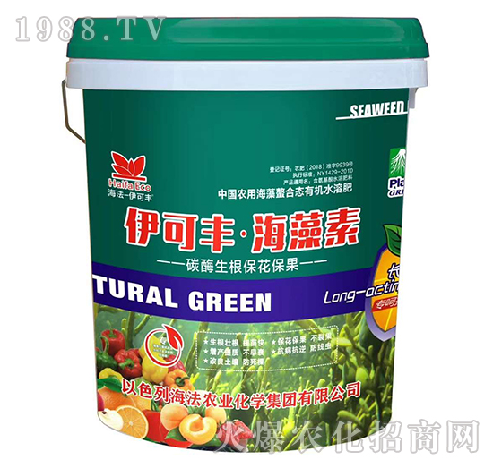 ̼ø������������-�����S��������-����