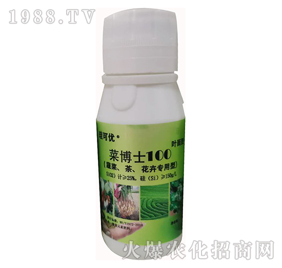 �˲�ʿ100���߲����������܌��ã�-���Ƀ�(y��u)-��Ɔ���