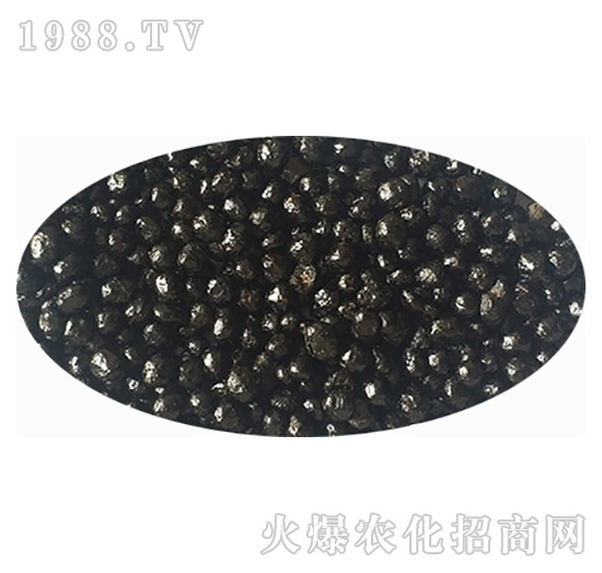 ��Ĥ�w��-���r��