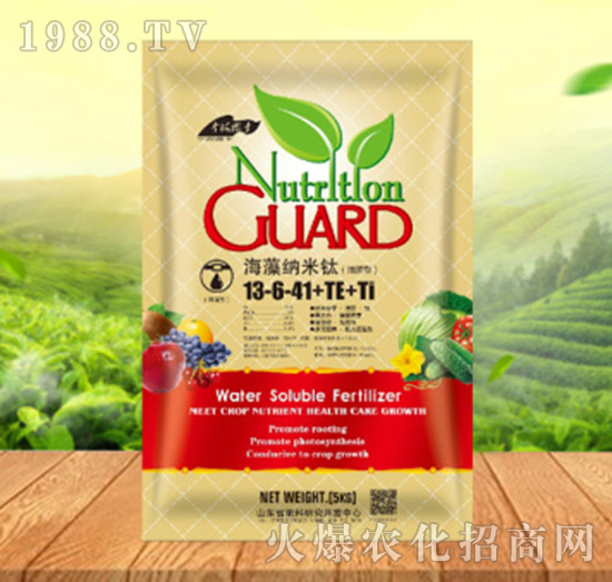 ����{����13-6-41+TE+Ti������-���ԁ��(l��)