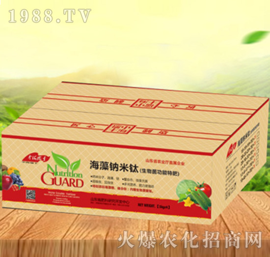 ����{����-���ԁ��