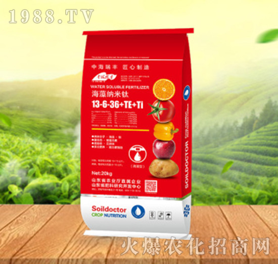 ����{����13-6-36+TE+Ti-���ԁ��