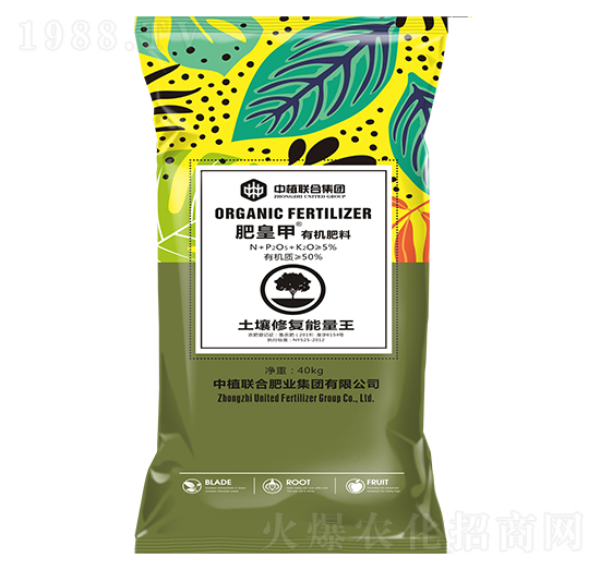 �����ޏ�(f��)������-�ʻʼ��ЙC����-��ֲ(li��n)��