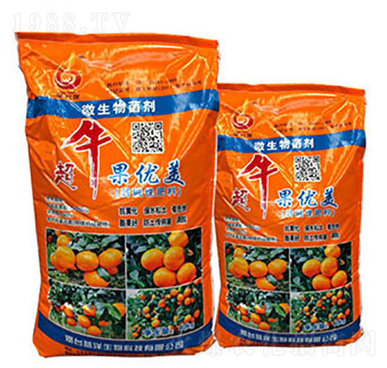 ��ţ����(y��u)��-��������