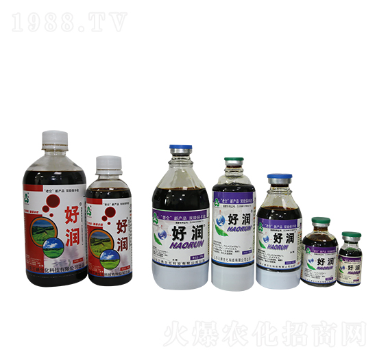 �������-�Ý�(r��n)-��������