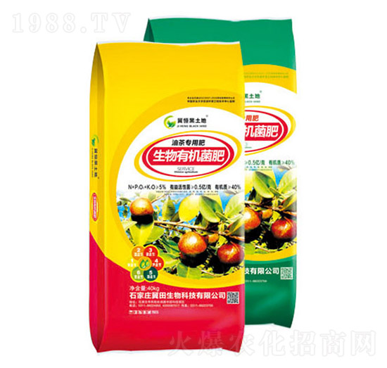 �Ͳ茣�������ЙC(j��)����-��������