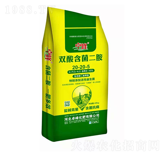 �p�Ậ������20-20-5-׿��