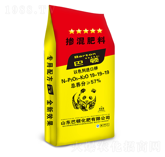 �������19-19-19-���D