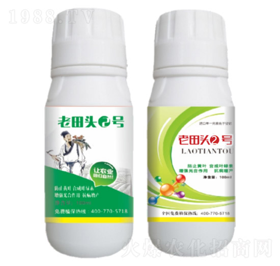 真菌、細菌性病害、病毒?。ㄖ胁菟幣浞剑?老田頭2號