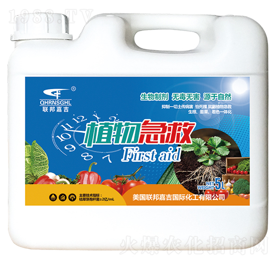 ֲ�Ｑ��-��μ�