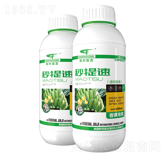 �㽶����-�����٣���Ч�����-(li��n)��μ�