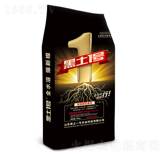 ΢���w������-����1̖