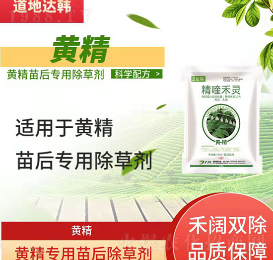 黃精除草劑-黃精苗后-黃精專用-大韓