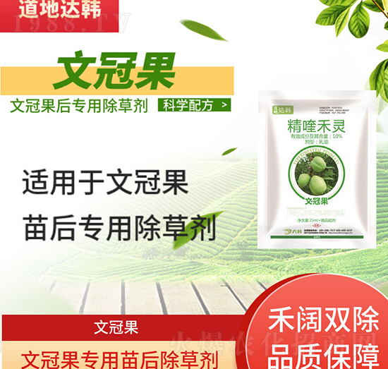 �Ĺڹ����݄�-�Ĺڹ����-�Ĺڹ�����-���n