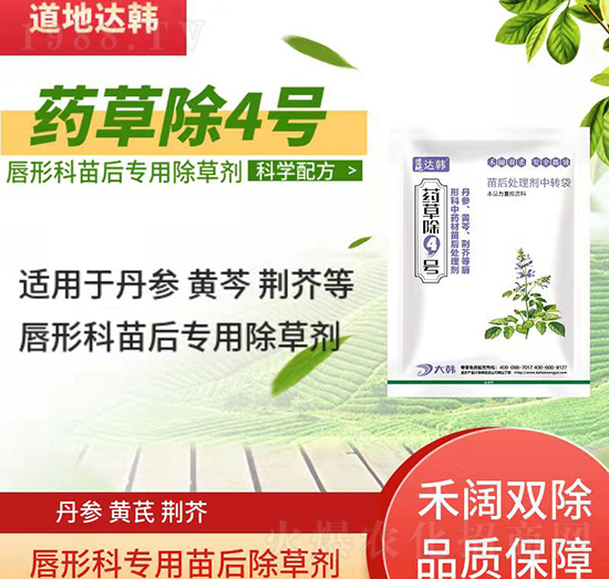 ���οƳ��݄�-���ο����-���οƌ���-ˎ�ݳ�4̖(h��o)-���n