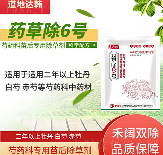 芍藥科除草劑-芍藥科苗后-芍藥科專用-藥草除6號-大韓