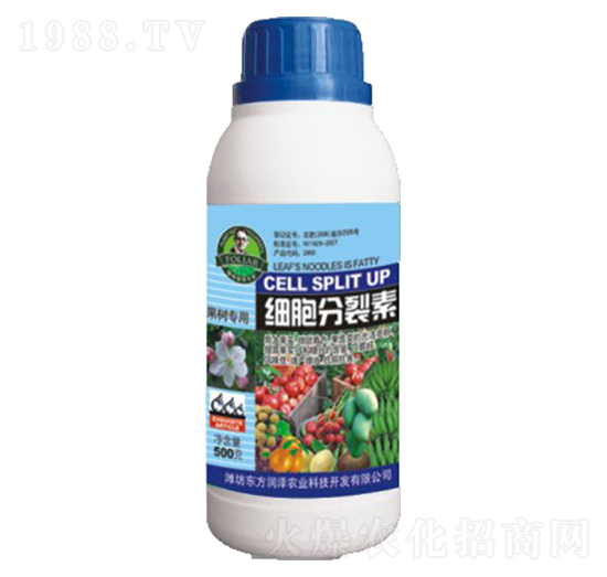 ����������-�|������