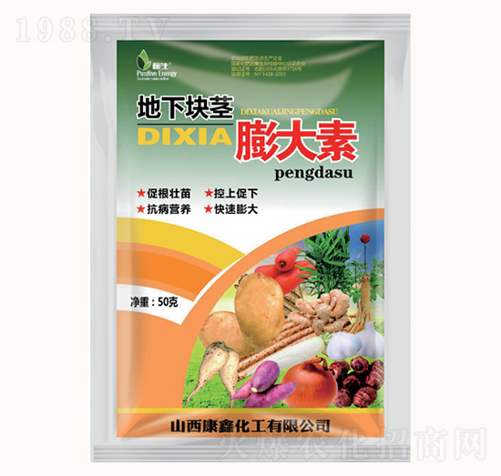 ���K�o�����-���λ���