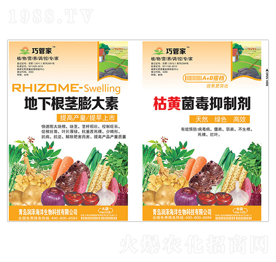 ���¸��o�����+���S�������Ƅ�-�ɹܼ�-����